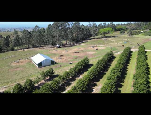FARM FOR SALE IN PADDOCK